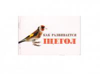 Книги Как развивается