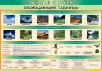Таблица Экология 100х140 винил