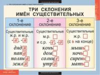 Таблица Типы склонений имен существительных 100х140 винил