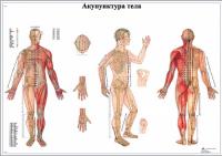 Плакат  Акупунктура тела