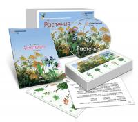 Комбинированное пособие "Растения"