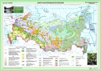Карта растительности России