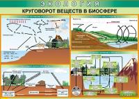 Таблица Круговорот веществ в биосфере 70х100 винил