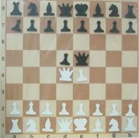 Доска шахматная демонстрационная цельная с фигурами (62 х 62 см)
