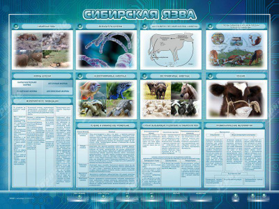 Электрифицированный стенд "Сибирская язва"