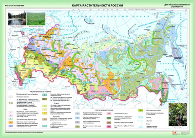 Карта растительности России