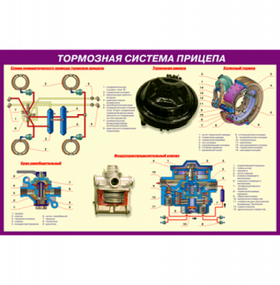 Стенд Тормозная система прицепа (кат.СЕ), 850*860 мм