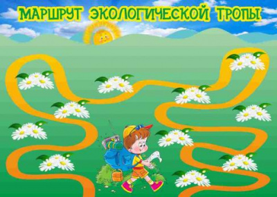 Экологическая тропа 21 табличка