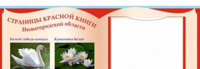 Уличный стенд "Страницы красной книги" 1*0,6м с каркасом