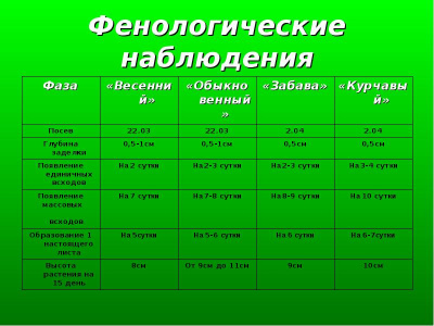  Фенологические наблюдения