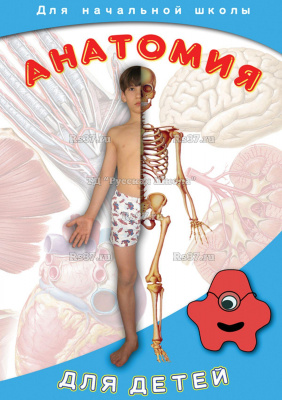 DVD Анатомия для детей
