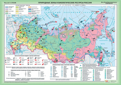 Карта Природные зоны и биологические ресурсы России