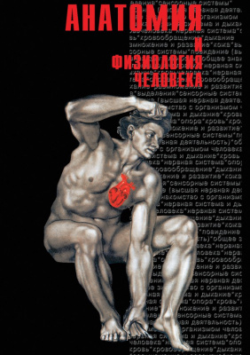  DVD Анатомия - часть 2