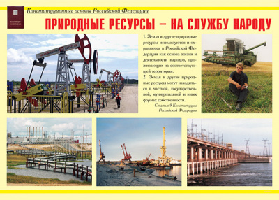 Конституционные основы Российской Федерации