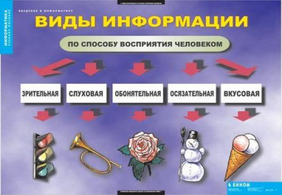 Введение в информатику (12 таблиц)