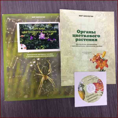 Электронное наглядное пособие "Органы цветкового растения"