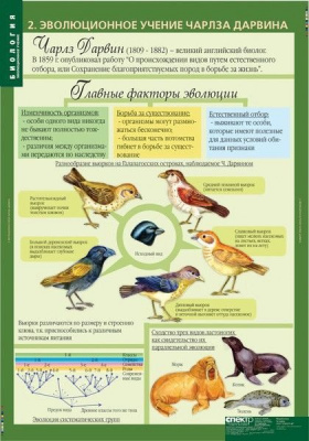 Таблицы Биология. Эволюционное учение
