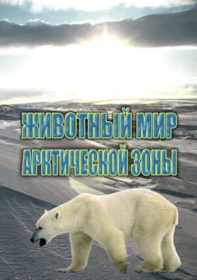 Учебный фильм Животный мир Арктической зоны