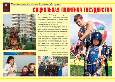 Конституционные основы Российской Федерации