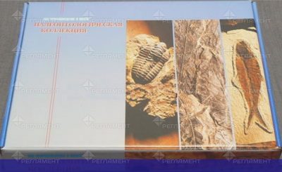 Коллекция "Палеонтологическая" (23 шт.) (гипс)