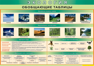 Таблица Экология 100х140 винил