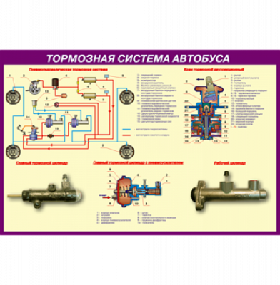 Стенд Тормозная система автобуса (кат.D), 850*860 мм