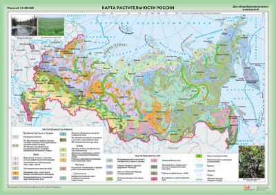  Карта Растительность России (112х180) глянцевое 1-стороннее ламинирование