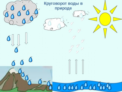  Модель "Круговорот воды в природе"