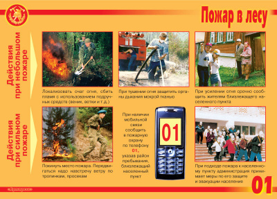 Действия при пожаре